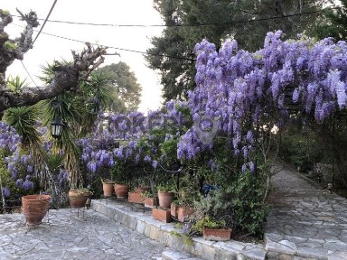 Κρέστενα, Σκιλούντα (Ηλεία)