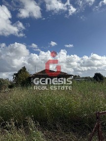 Μανωλάδα, Βουπρασία (Ηλεία)