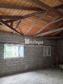 Καβούρι, Πύργος (Ηλεία), Κυανη Ακτή 6