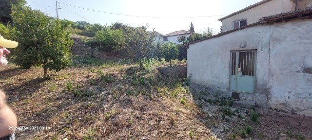 Επιτάλιο, Βώλακας (Ηλεία), Λεωφόρος Βασιλέως Παύλου, 271 50 Βώλακας