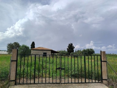 Μάχος, Βαρθολομιό (Ηλεία)