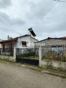 Λασταίικα, Πύργος (Ηλεία)