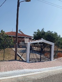 Λασταίικα, Πύργος (Ηλεία)