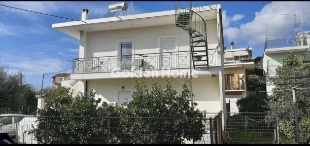 Κέντρο, Ζαχάρω (Ηλεία)