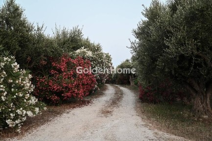 Μονοκατοικία, 300τ. μ.