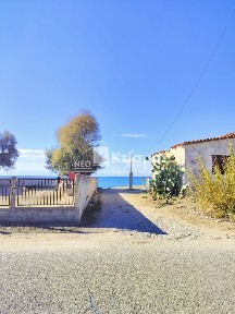 Σπιάντζα, Πύργος (Ηλεία), Τεπζhς
