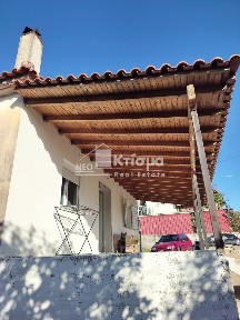 Μακρίσια, Σκιλούντα (Ηλεία)