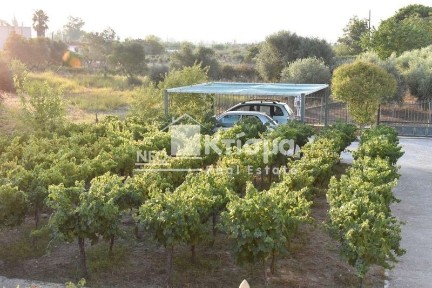 Λασταίικα, Πύργος (Ηλεία), Purgos