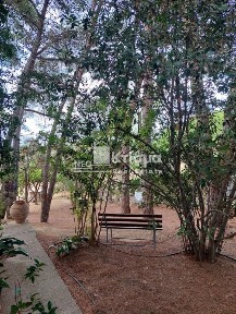 Κάτω Καβούρι, Πύργος (Ηλεία), Οδός 101, 270 67, Καβούρι