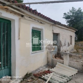 Επιτάλιο, Βώλακας (Ηλεία)
