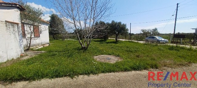 Αμαλιάδα (Ηλεία)