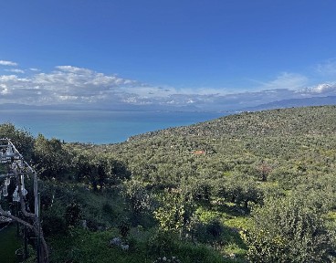 Κιτριές, Αβία (Μεσσηνία)