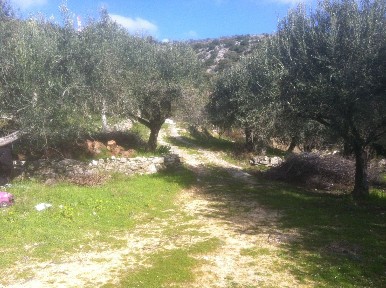 Κέντρο, Πέρδικα (Θεσπρωτία), ΒΑΡΣΕ ΠΕΡΔΙΚΑ