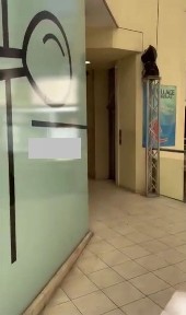 Βαρνάβα, Παγκράτι (Αθήνα - Κέντρο)