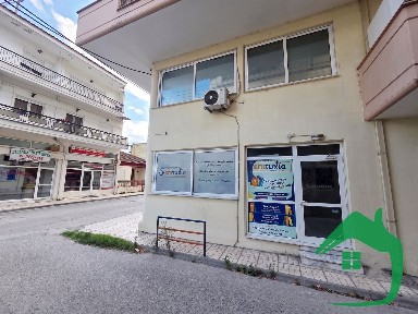 Κέντρο, Αριδαία (Πέλλα), ΔΗΜΟΚΡΑΤΙΑΣ 24