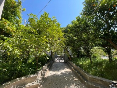 Κουλμπάρα, Λέσβος - Μυτιλήνη (Ν. Λέσβου), Αριστάρχου Τζ. 13, Μυτιλήνη 81131