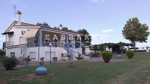 Αρωγή, Αίγειρος (Ν. Ροδόπης)