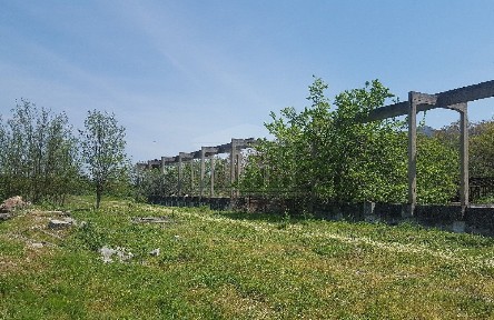 Αλίαρτος (Βοιωτία)