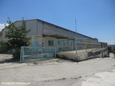 Κωνσταντινουπολίτικα, Πυλαία (Θεσσαλονίκη - Περιφ/κοί δήμοι), 17ης Νοέμβρη 77, Πυλαία 55534