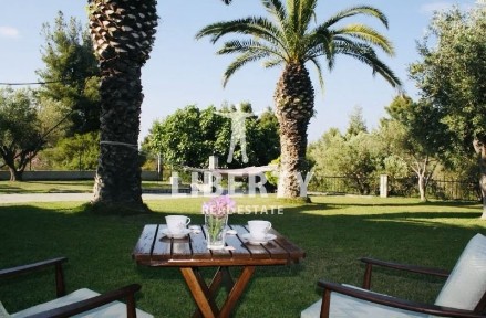 Πευκοχώρι, Παλλήνη (Χαλκιδική), Περιμετρική Κασσάνδρας, 630 85, Παλλήνη