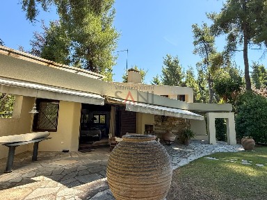 Σανή, Κασσάνδρα (Χαλκιδική), Σάνη