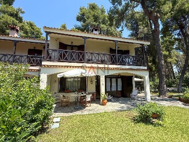 Σανή, Κασσάνδρα (Χαλκιδική), Σάνη