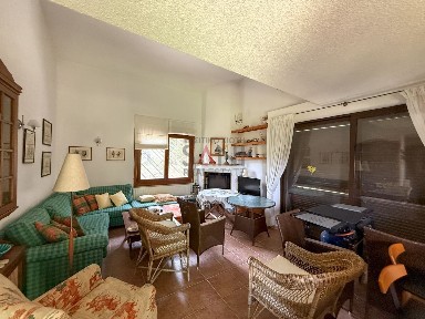 Σανή, Κασσάνδρα (Χαλκιδική), Σάνη