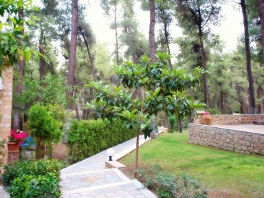 Σανή, Κασσάνδρα (Χαλκιδική), ΣΑΝΗ