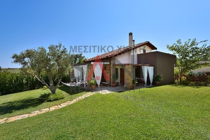Σανή, Κασσάνδρα (Χαλκιδική), Σάνη
