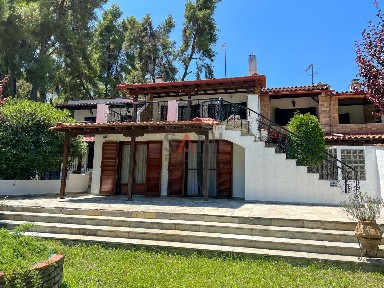 Σανή, Κασσάνδρα (Χαλκιδική), Σάνη