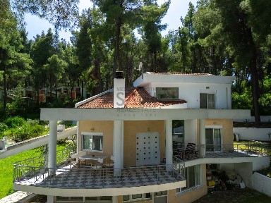 Σανή, Κασσάνδρα (Χαλκιδική), Sani