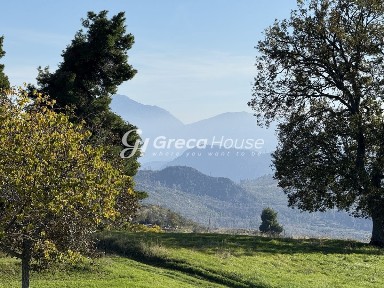 Κτίριο, 750τ. μ.