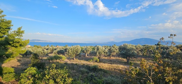 Κτίριο, 225τ. μ.