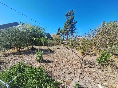 Μονοκατοικία, 52τ. μ.