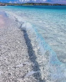 Μεζονέτα, 70τ. μ.