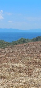 Νέα Ποτίδαια, Μουδανιά (Χαλκιδική), Μακεδονίας, Νέα Ποτίδαια 63200