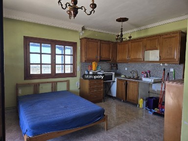 Studio / Γκαρσονιέρα, 30τ. μ.
