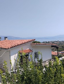 Βλαστός, Κάλαμος (Υπόλοιπο Αττικής), Ολυμπίου Διός, Βλαστός 19014