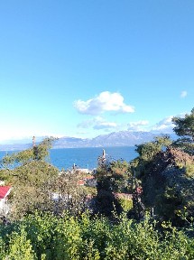 Βλαστός, Κάλαμος (Υπόλοιπο Αττικής), Πλούτωνος 7, Βλαστός 19014