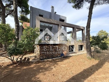 Αγία Τριάδα - Ιπποκράτειος Πολιτεία, Αφίδνες (Υπόλοιπο Αττικής)