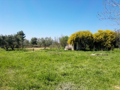 Αλιβέρι, Ταμύνες (Εύβοια)