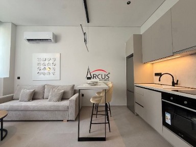 Studio / Γκαρσονιέρα, 50τ. μ.