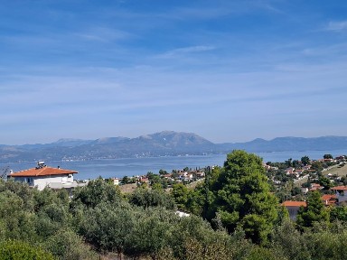 Πλάκα Δήλεσι, Σχηματάρι (Βοιωτία)