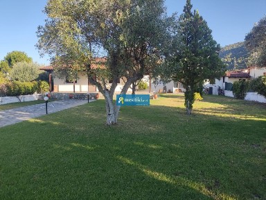 Άγιος Κωνσταντίνος (Φθιώτιδα), QW4G+PR, Μώλος Άγιος Κωνσταντίνος 352 00, Ελλάδα