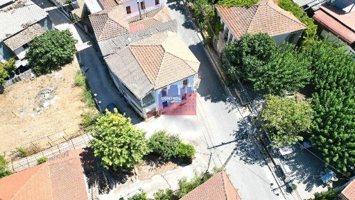 Ελαιώνας, Διακοπτό (Αχαΐα)