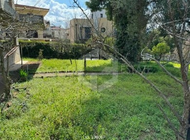 Μεζονέτα, 320τ. μ.