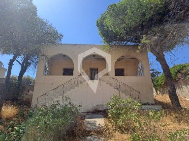 Σύρος (Κυκλάδες)