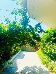 Νέα Κηφισιά, Κηφισιά (Αθήνα - Βόρεια Προάστια)