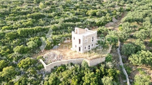 Νέο Προάστιο, Λεύκτρος (Μεσσηνία)