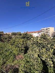 Κυπριανός, Λαύριο (Υπόλοιπο Αττικής)